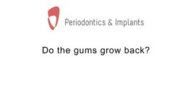 Do the gums grow back?